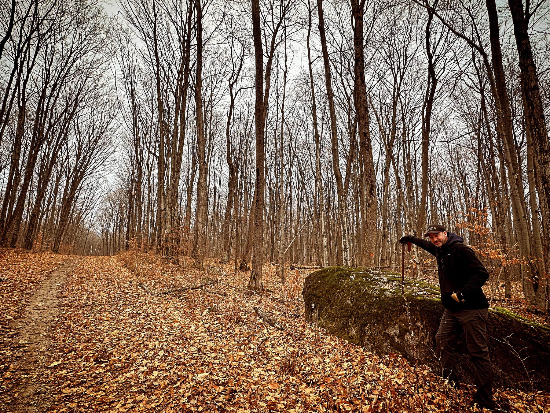 "TEA'S ME" - Foraging Hike & Chaga Ceremony + Forest Photo Session - Image 3