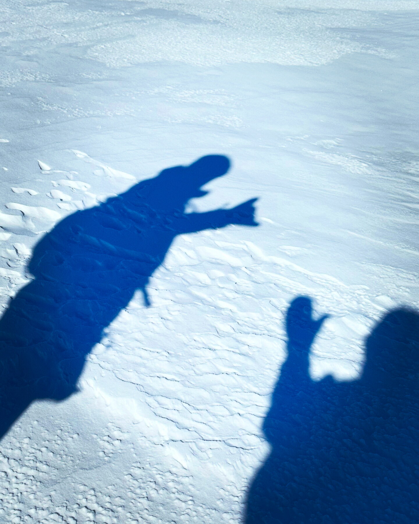 A "Tiny Winter Celebration" Photo Session - Image 5