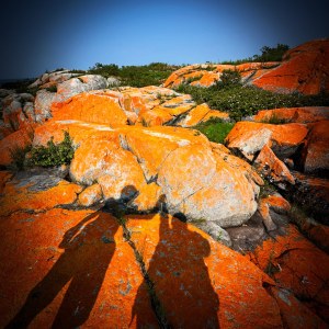 Dip n' Dash - Western Island Adventure Elopement