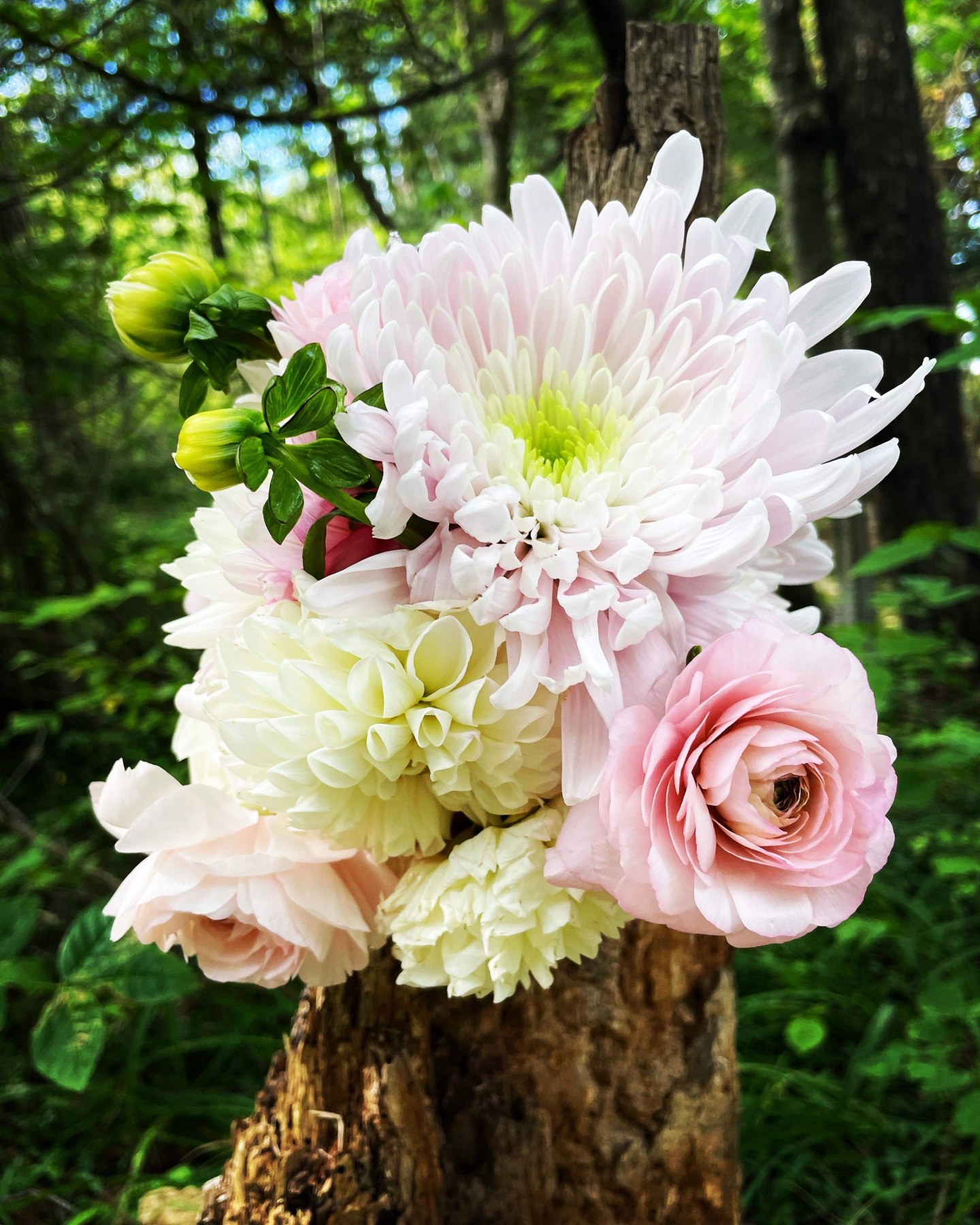 Ritual - "Bouquet of Intentions" - Image 6