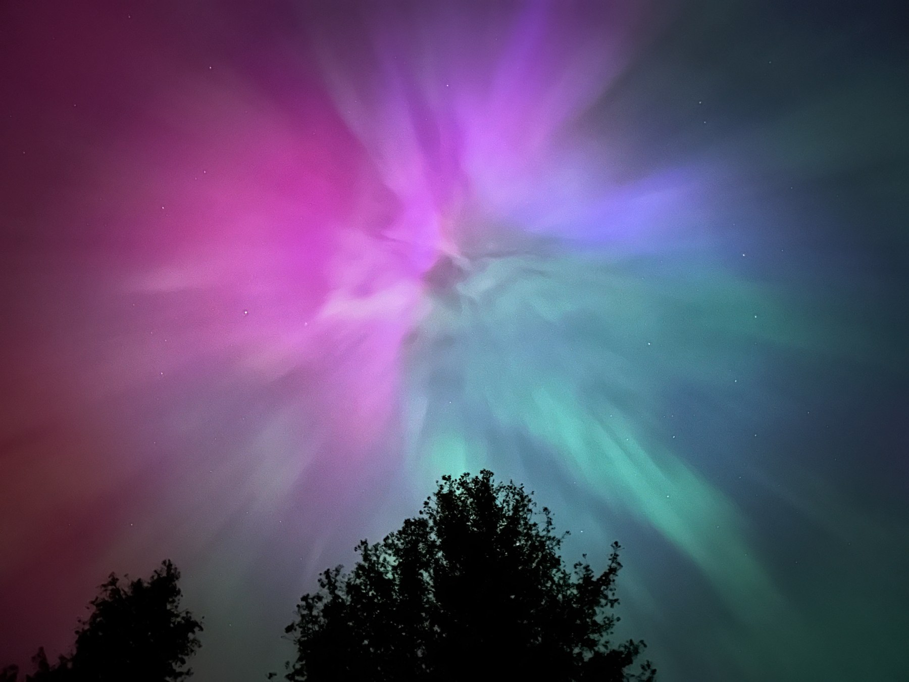 "The Sky is Celebrating" - Celestial Wedding Ceremony - Image 13