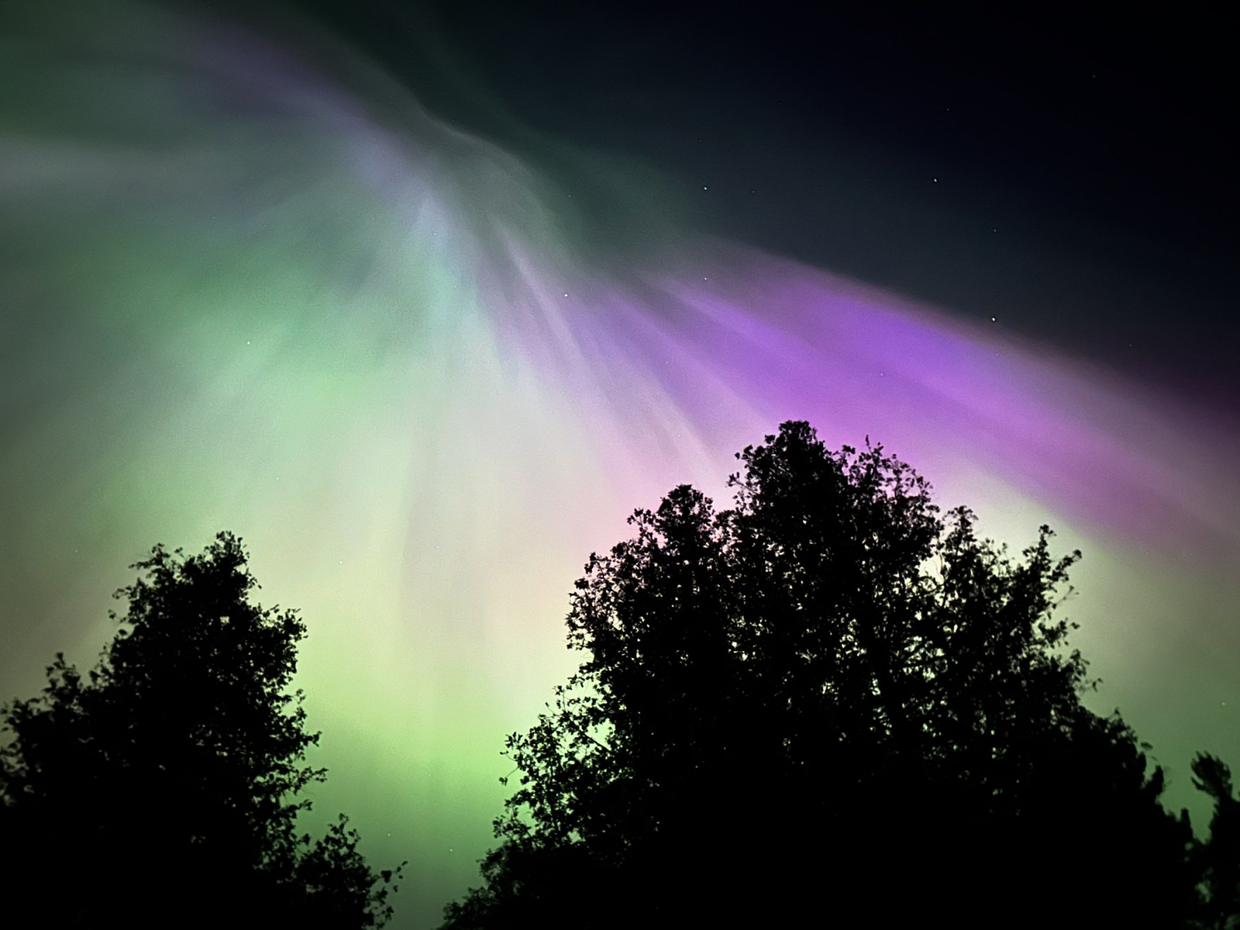 "The Sky is Celebrating" - Celestial Wedding Ceremony - Image 18