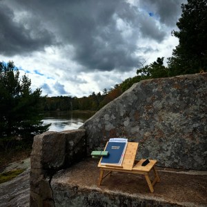 Mindful Witness (Island)