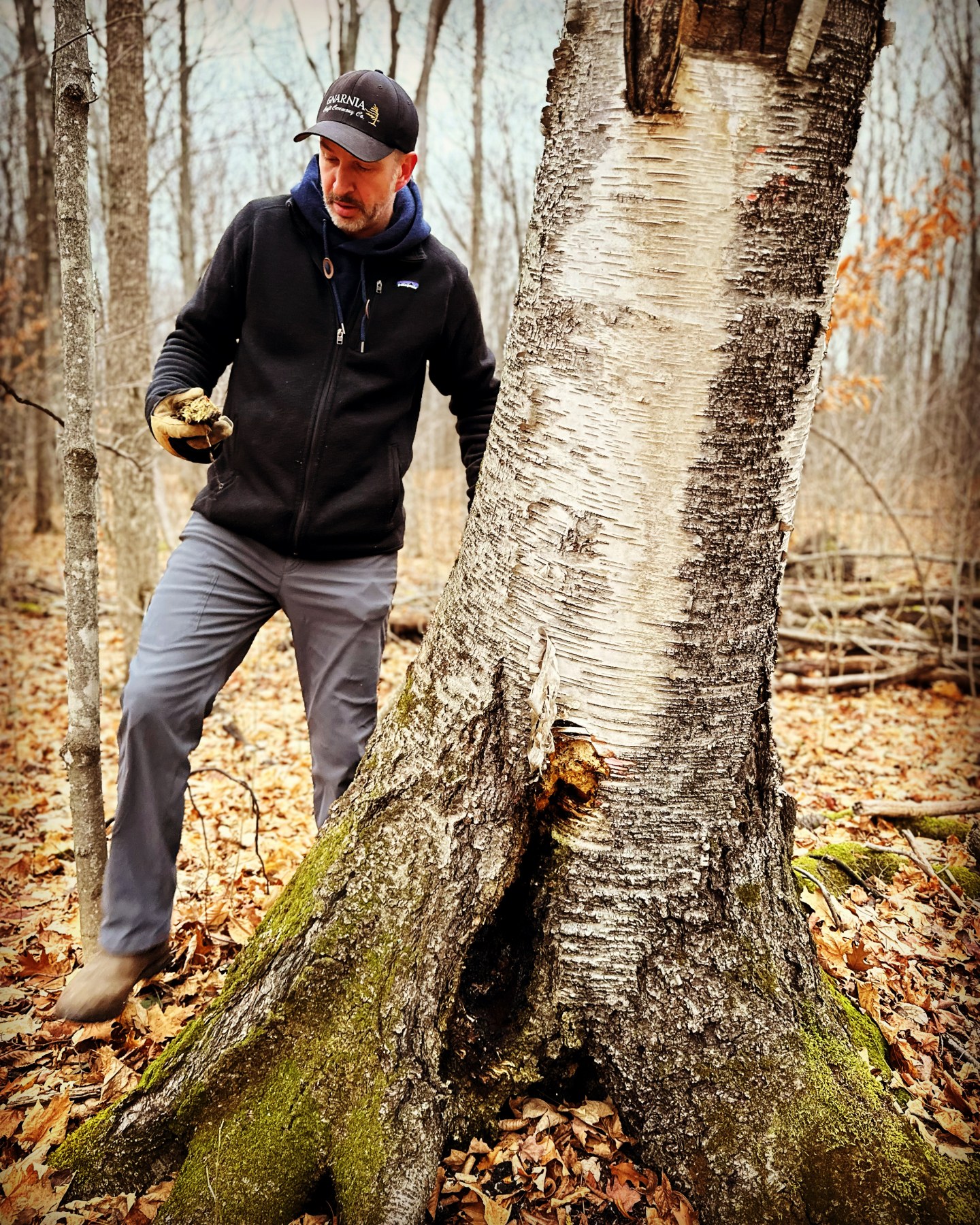 "TEA'S ME" - Foraging Hike & Chaga Ceremony + Forest Photo Session - Image 6