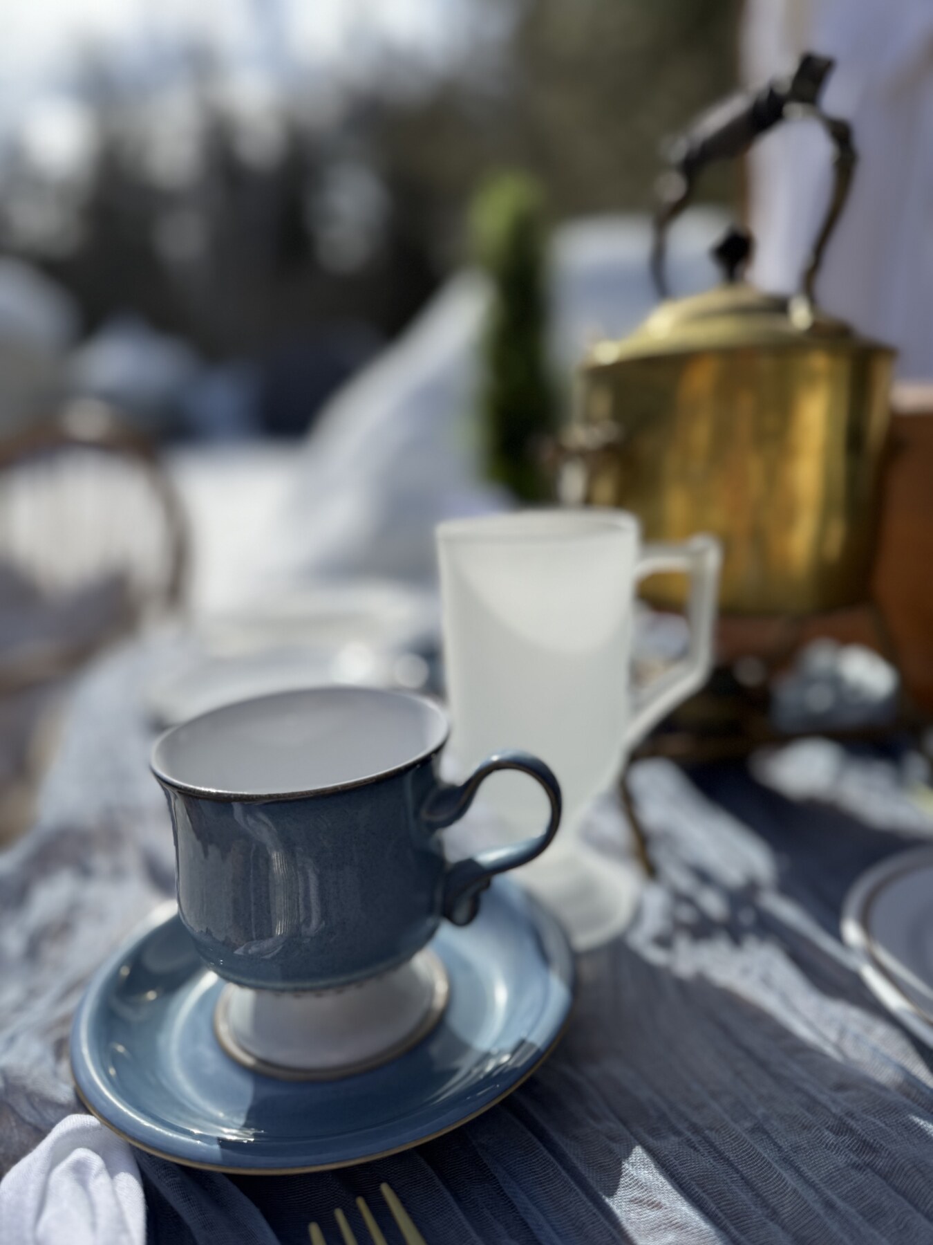 "TEA'S ME" - Foraging Hike & Chaga Ceremony + Forest Photo Session - Image 7