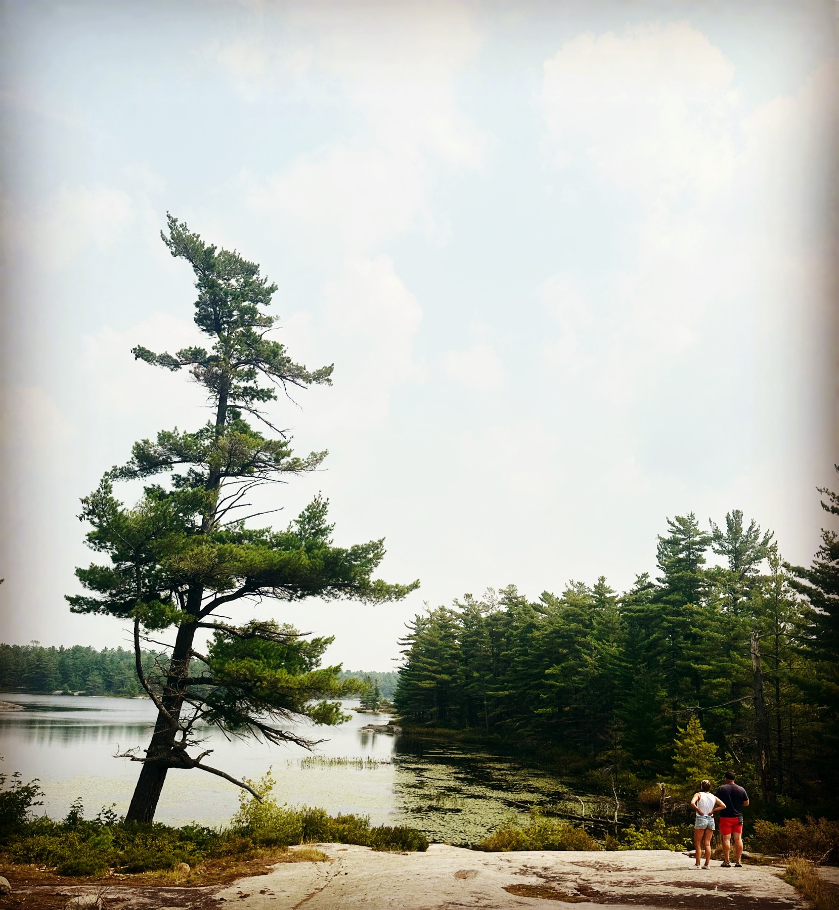 Ritual - "Stand on Guard for Thee Tree Planting" - Image 2