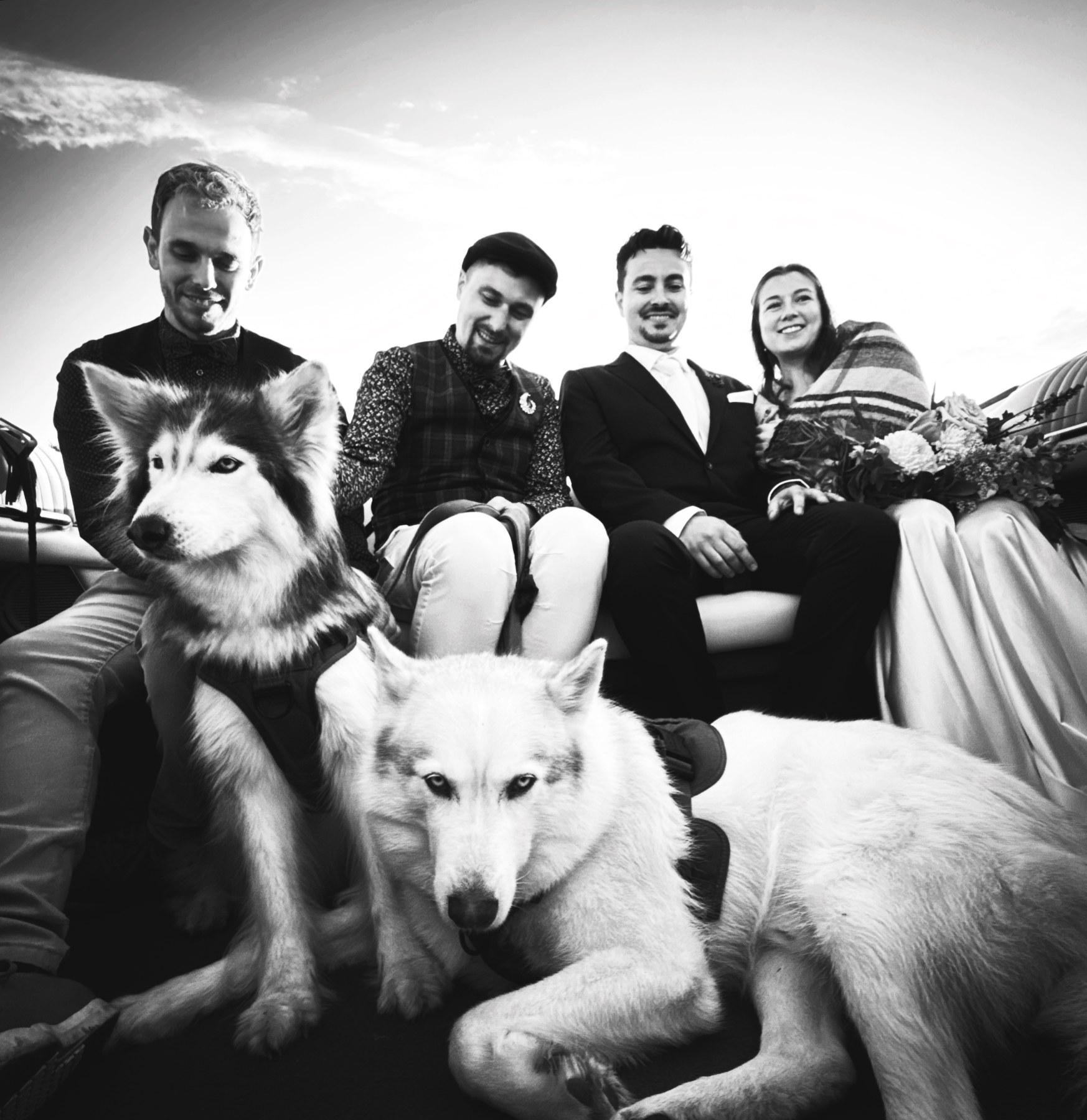 "Love & Leashes" – Dog Companion Service - Image 4