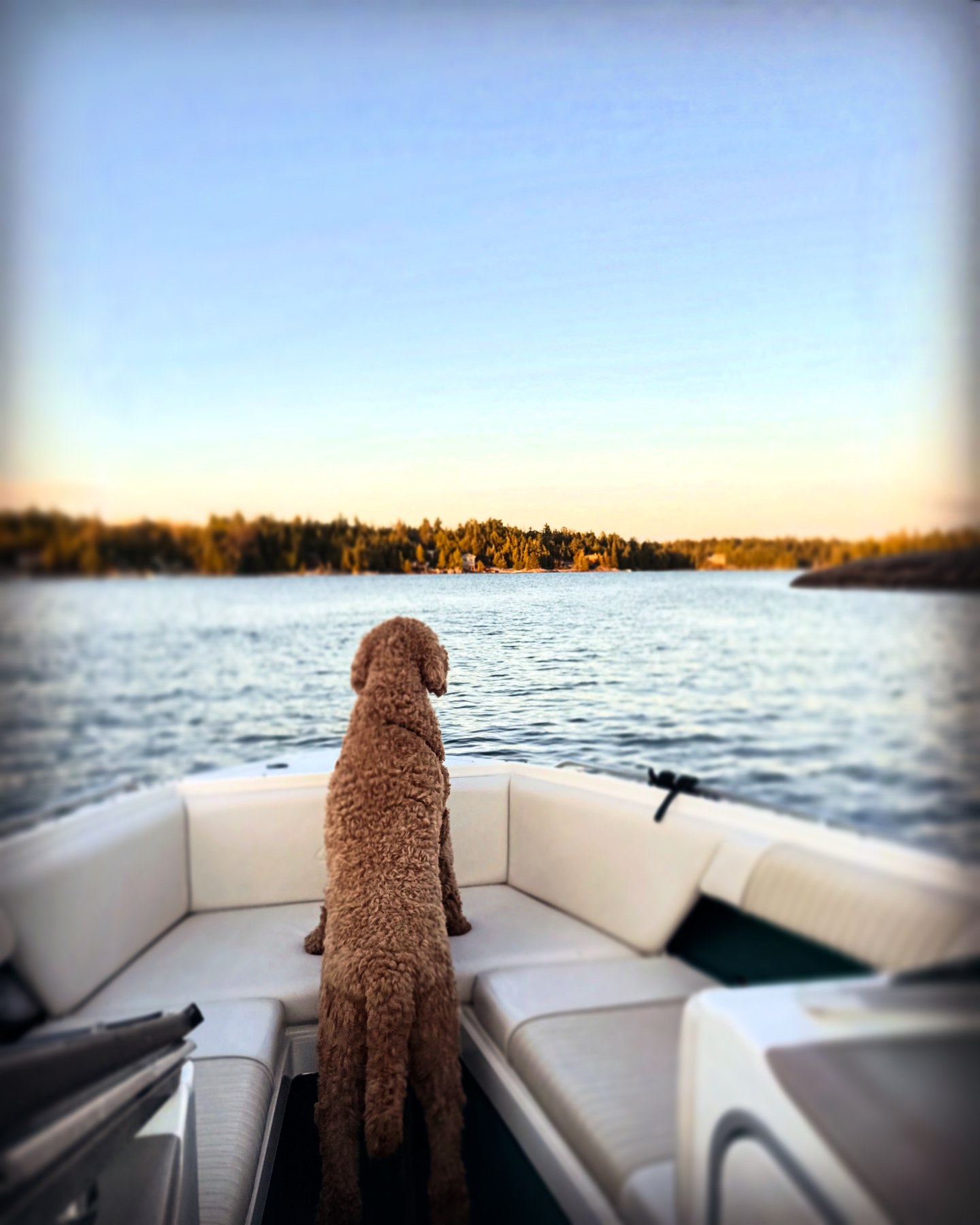 "Knot at Gnarnia" Classic Boat Charter & Captain per Hour (for 2 People) - Image 10