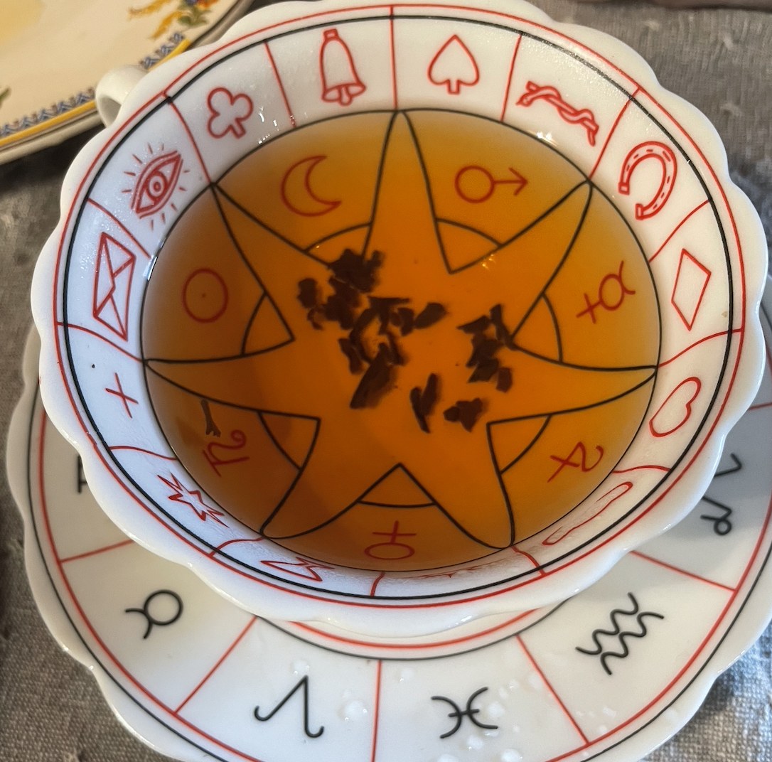 "TEA'S ME" - Foraging Hike & Chaga Ceremony + Forest Photo Session - Image 5