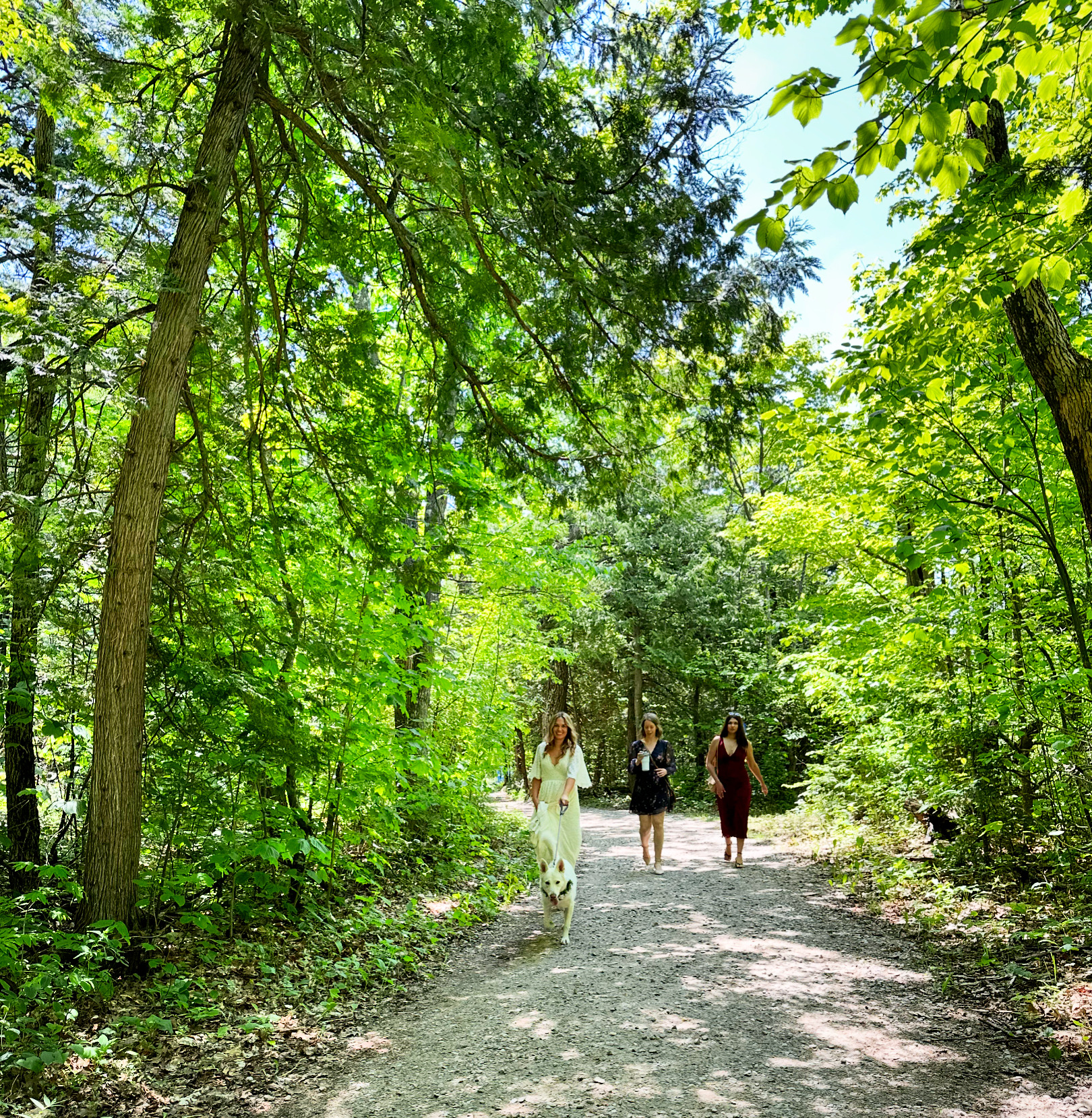 "Trillions of Trilliums" - Spring Adventure Wedding - Image 10