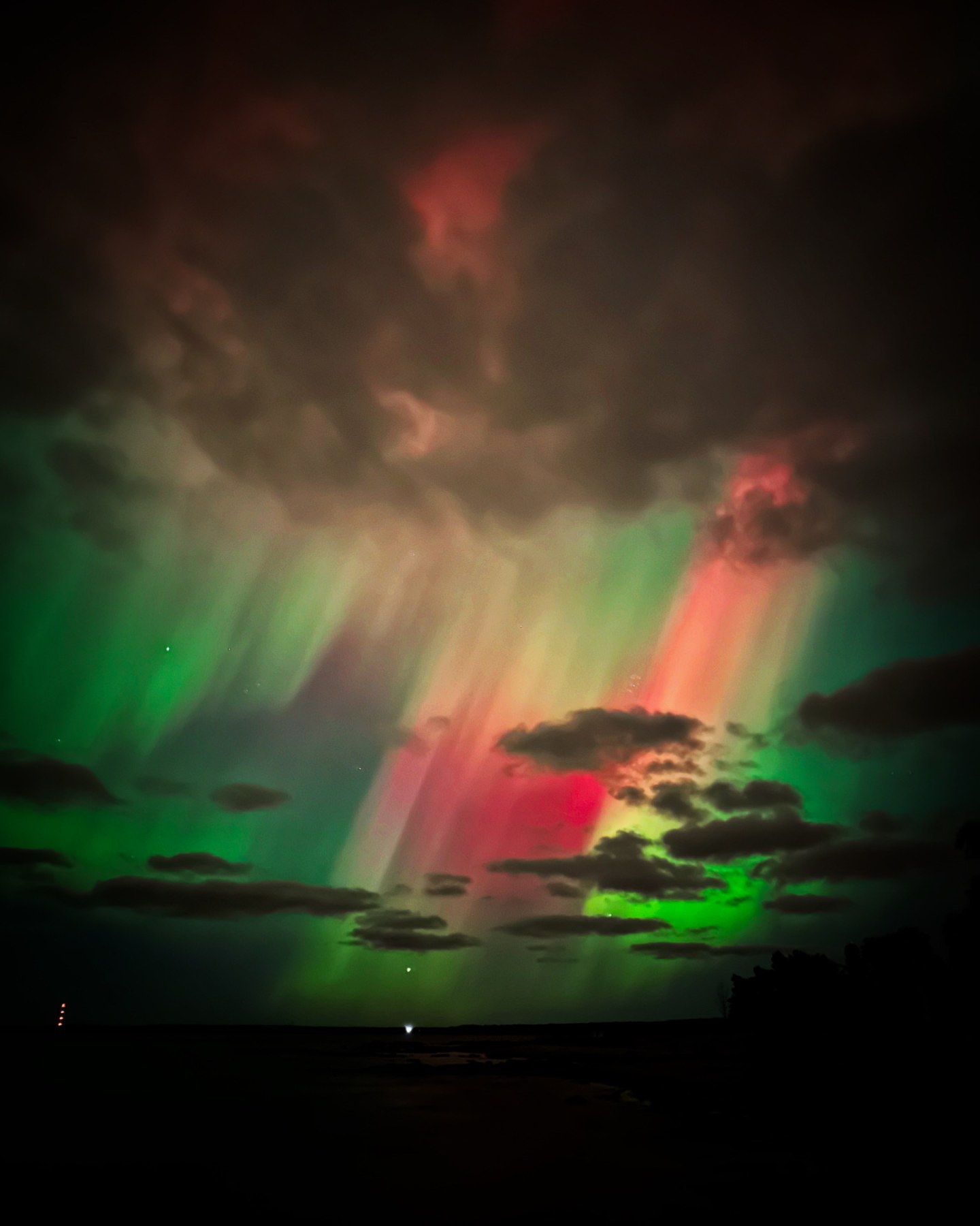 "The Sky is Celebrating" - Celestial Wedding Ceremony - Image 16