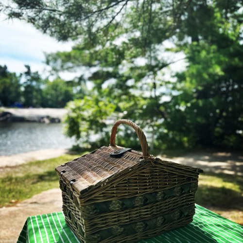 Picnic-basket