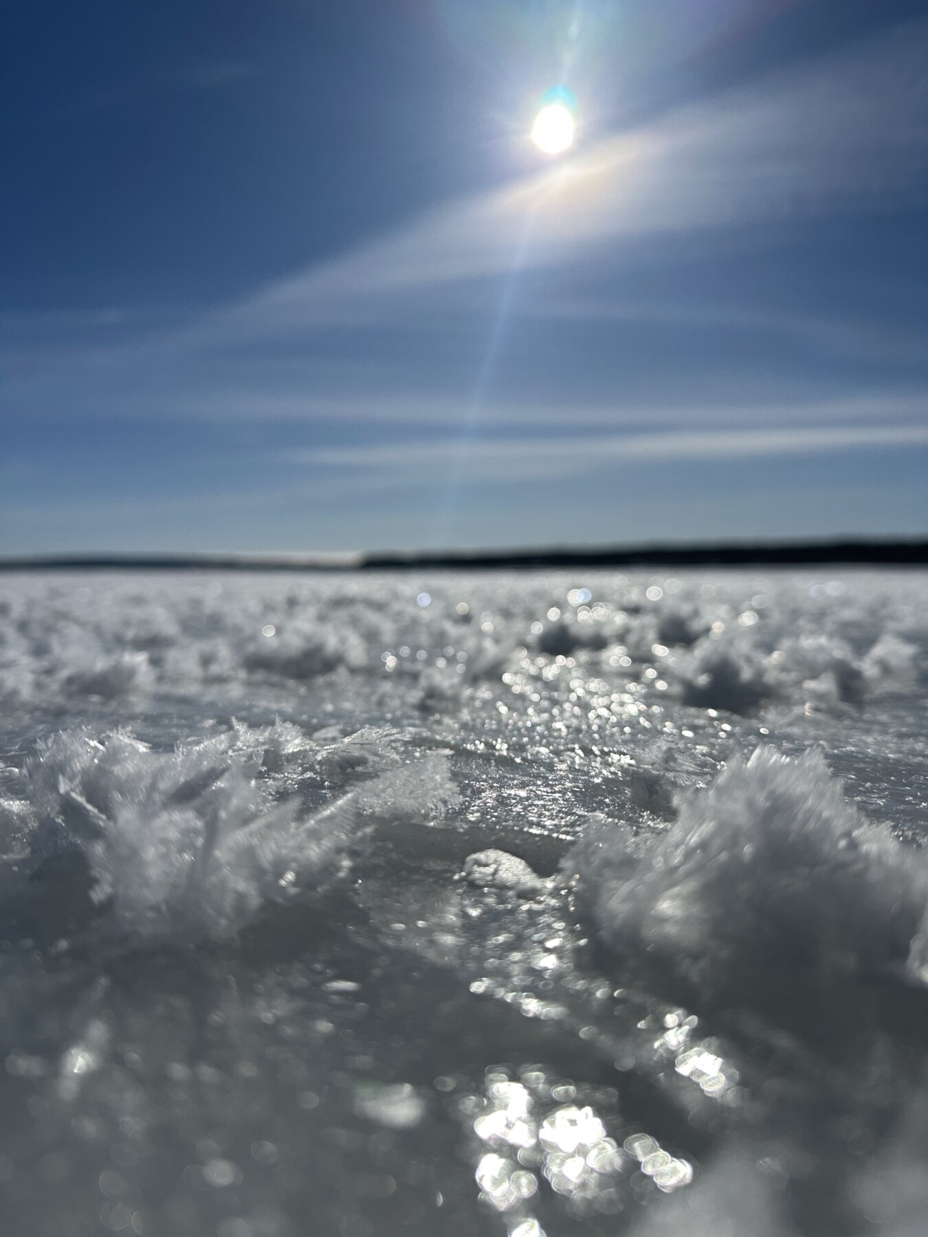 Scattering of Ashes - Fur-ever in our Hearts (Beloved Pet Ceremony) - Image 6